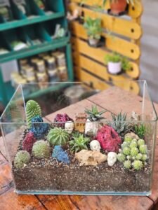 Mini Cactus Terrarium