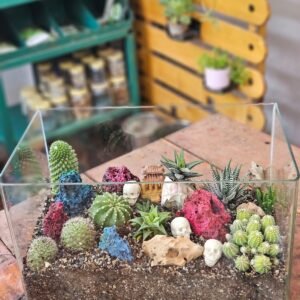 Mini Cactus Terrarium